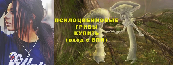 PSILOCYBIN Гусев